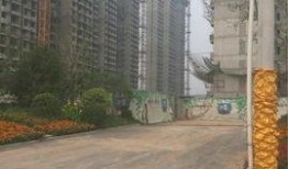 青岛蓝湾爆料最新消息,揭秘神秘项目进展与影响